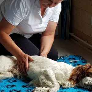 Clinical Massage