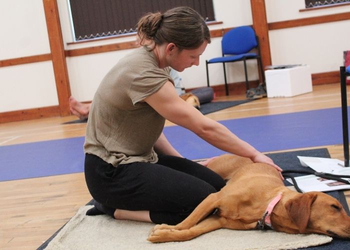 Born to Run Canine Massage Workshop Participant
