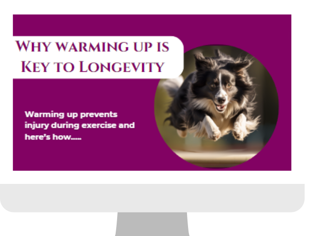 8 resons to warm up your dog